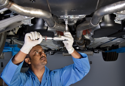 Person Working on Car